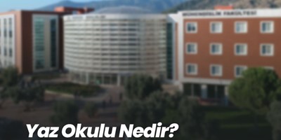 Yaz Okulu Nedir?